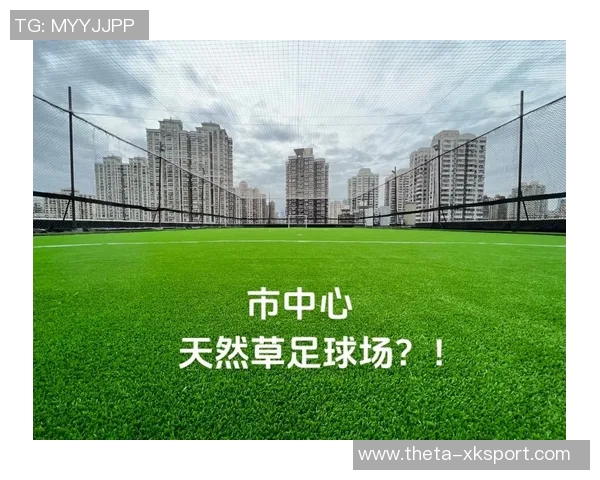 天然草足球场造价分析及影响因素探讨全面解读